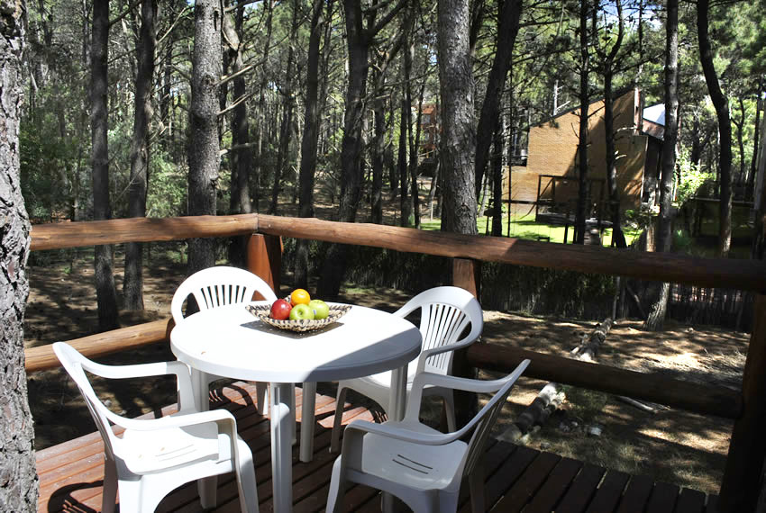 Apart Nro 2 (Planta Baja)