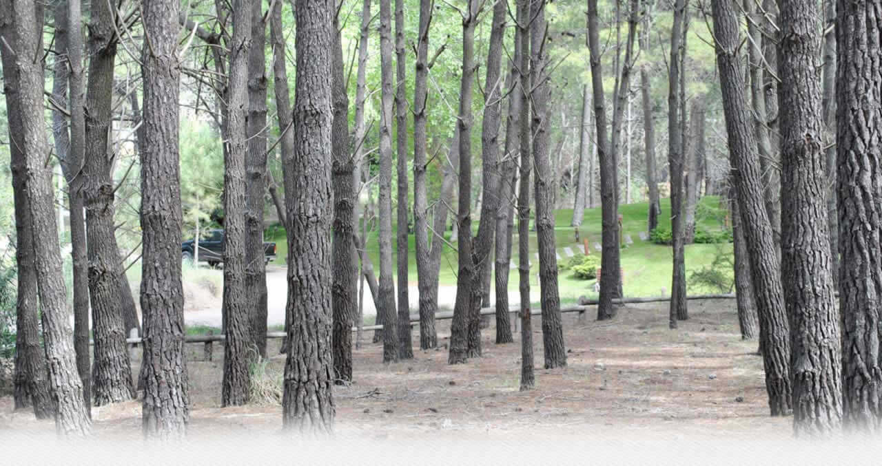 Cabañas El Candál en Mar de las Pampas - Argentina